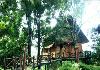Bamboo tree house